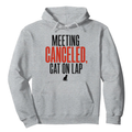 Meeting Canceled, Cat on Lap Hoodie